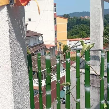 Adosado
